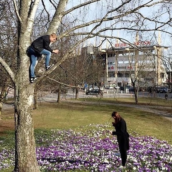 6. Ради любимой хоть на дерево!