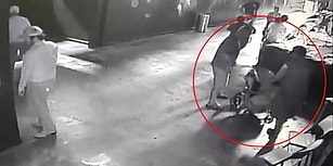 Akvaryumdan Köpek Balığı Çalıp Bebek Arabasıyla Kaçıran Hırsızlar