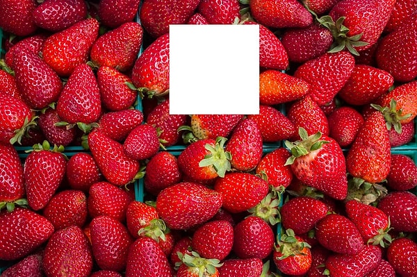 5. Что должно быть на месте белого квадрата?