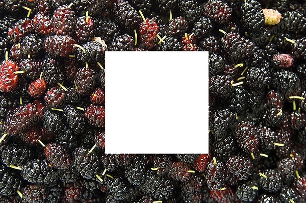 12. Уже знаете, какая картинка больше подходит?