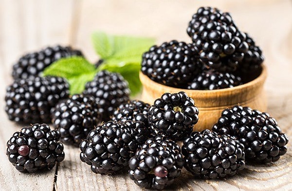 Вы - ежевика!