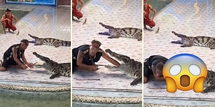 Gösteri Sırasında Timsaha Kolunu Kaptıran Eğitmen