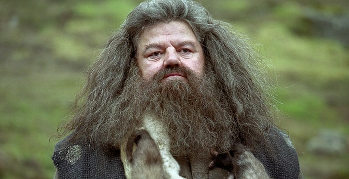 Тест для поттероманов: Как хорошо вы знаете Хагрида?