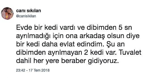 Onedio Instagram Hesabımızın Temmuz Ayında En Çok Güldüren 25 Paylaşımı