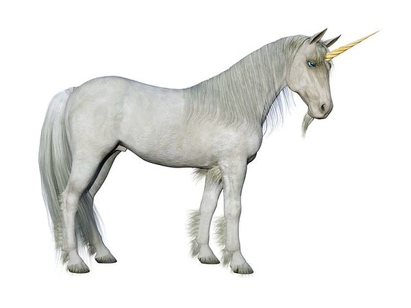 8. Выберите единорога: