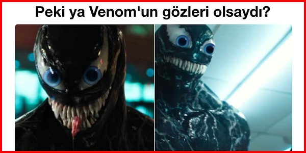 Evde siyah chokeberry şarap ve tentür 8