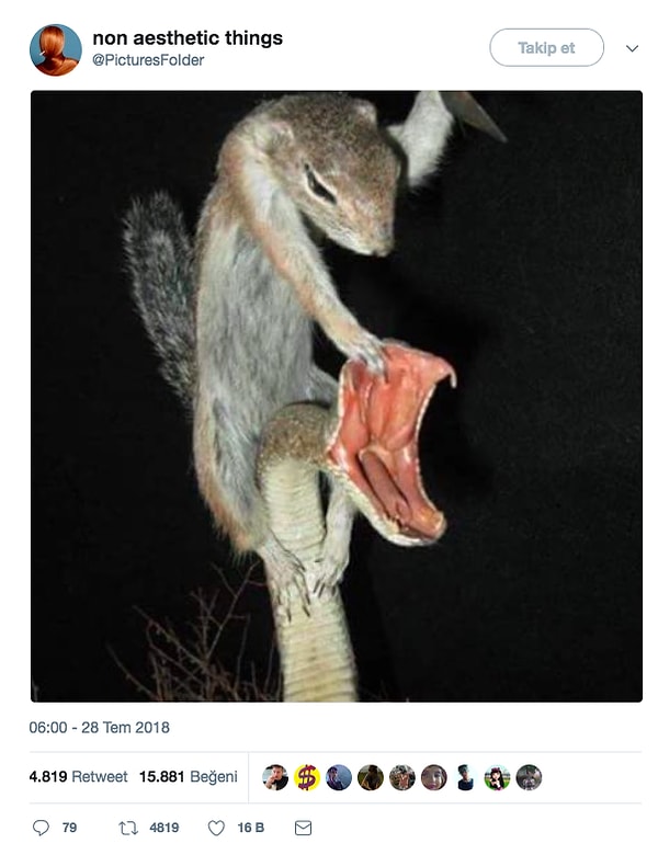 1. Теперь вы подумаете дважды, прежде чем напасть на кого-либо.