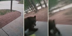 Köpek Var Zannederek Açtığı Kapının Arkasında Ayıyla Karşılaşan Kişinin Korku Dolu Anları