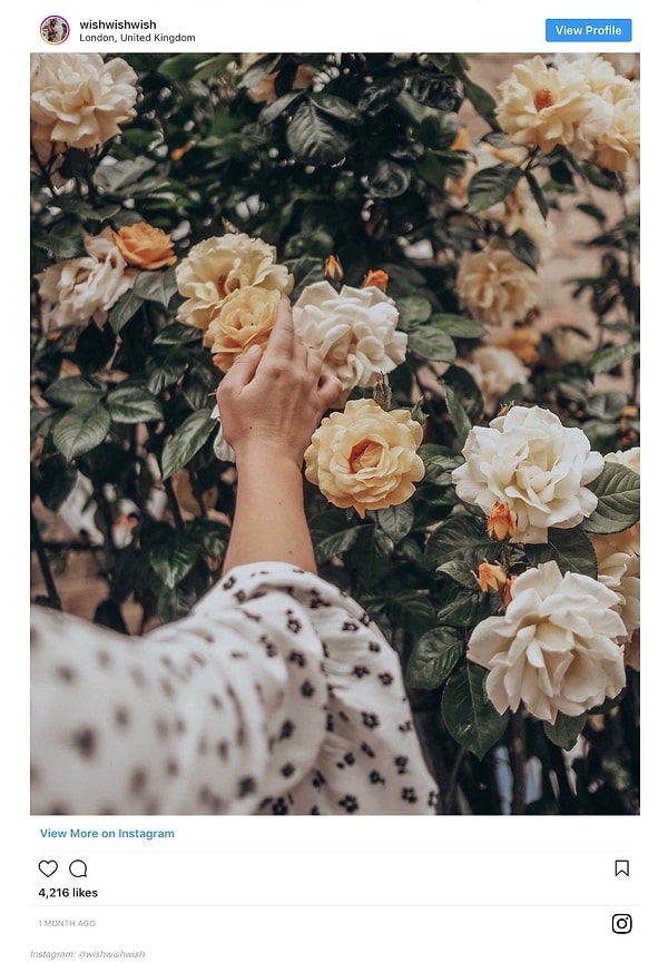 16. Отобрази красоту простых вещей.