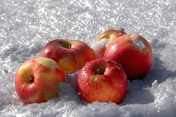 1. Итак, узнали эту песню?