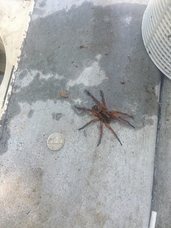 2. Или просто возле бассейна...