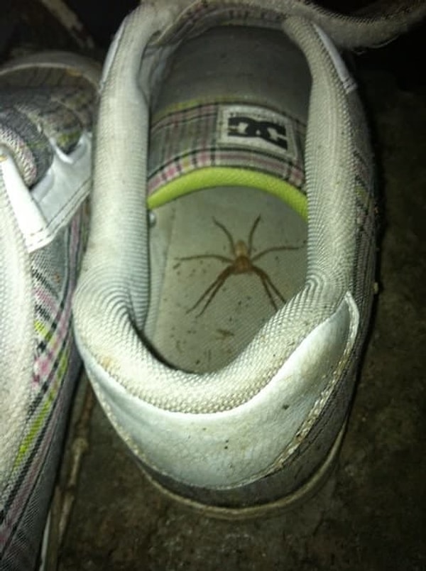 19. Однажды вас может поджидать и такой сюрприз!