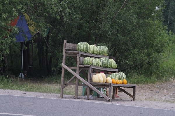 1. Часто можно увидеть, что арбузы продают возле дорог или остановках общественного транспорта. Можно ли покупать такие продукты?