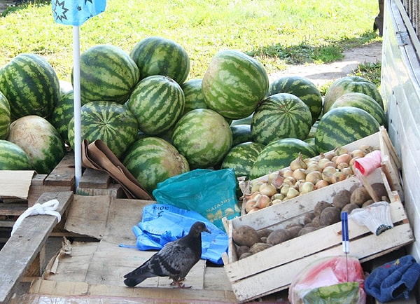 4. Каких правил реализации должны придерживаться продавцы арбузов?