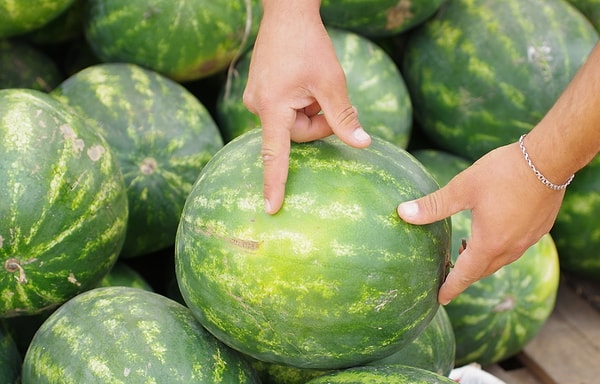 7. А что означает, если корку арбуза можно легко проткнуть ногтем?