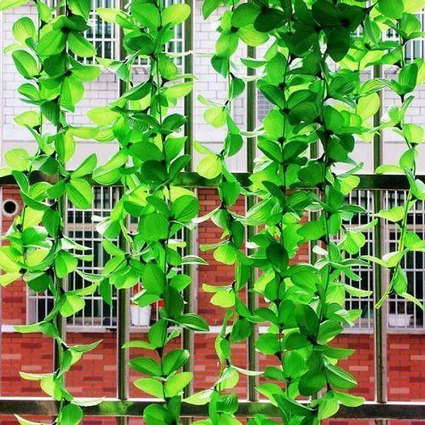 8. Что ещё (помимо винограда) растёт на лозах?