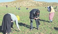 GÖKTEN DÜŞEN PARALAR!