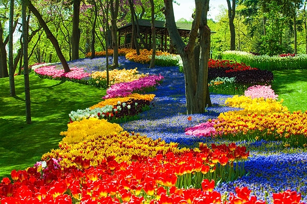 11. Парк Эмиргян