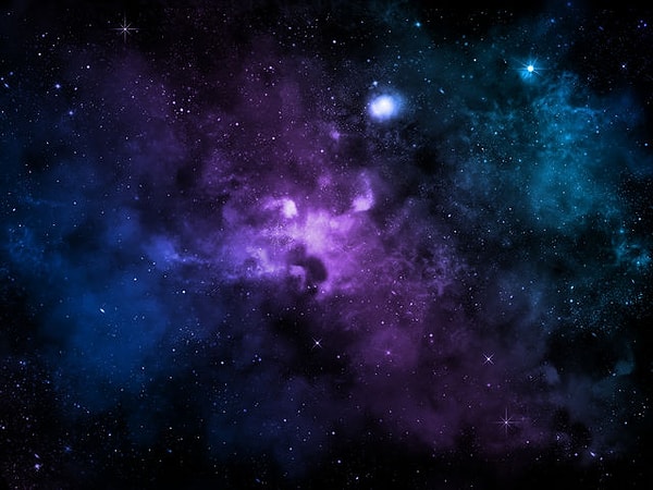 5. Сделайте выбор...