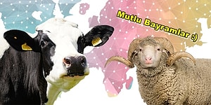 Kurban Bayramı'nda Kendinize İyi Bakın! Nasıl Beslenmeli, Nelere Dikkat Etmeli?