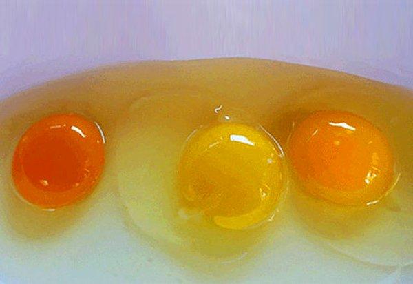 Yumurtanın sarısında kaç kalori vardır?
