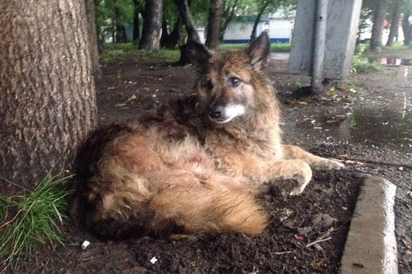 2. Найда из Комсомольска-на-Амуре