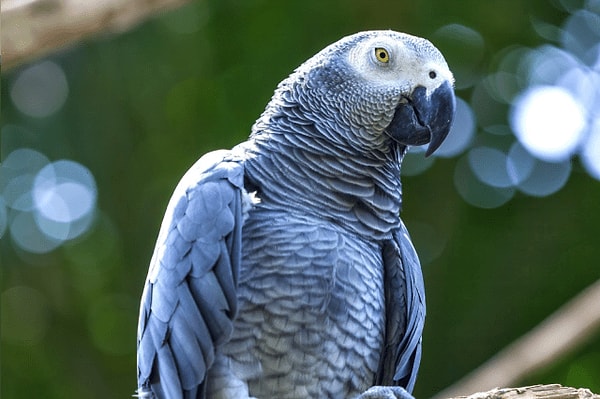 6. Выберите лишнее: