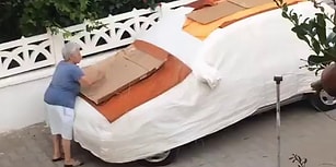 Sokak Hayvanları Aracına Çıkmasın Diye Arabasını Çivili Kartonlarla Kaplayan Kadın