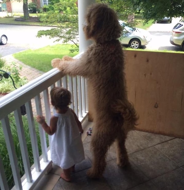 11. Бабушка и внучка