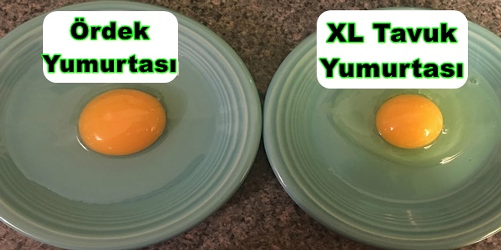 Kocaman Sarısı ve Mükemmel Lezzetiyle Ördek Yumurtasının Vücudumuza Sağladığı 13 Fayda