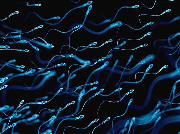 1. Сперма помогает бороться с депрессией! Химические элементы, в ней находящиеся, помогают поднять настроение и даже нормализовать сон.