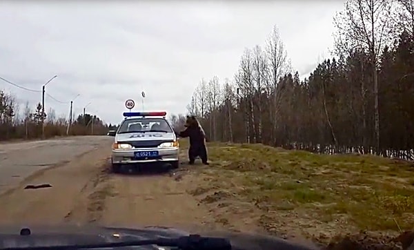 6. Эй, командир, может, договоримся?