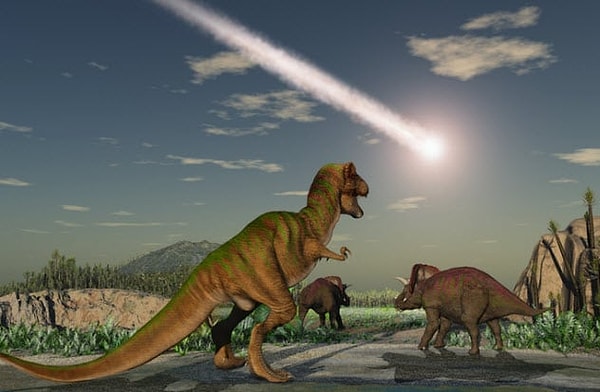 10. Вымирание видов полезно для планеты, как бы иронически это не звучало