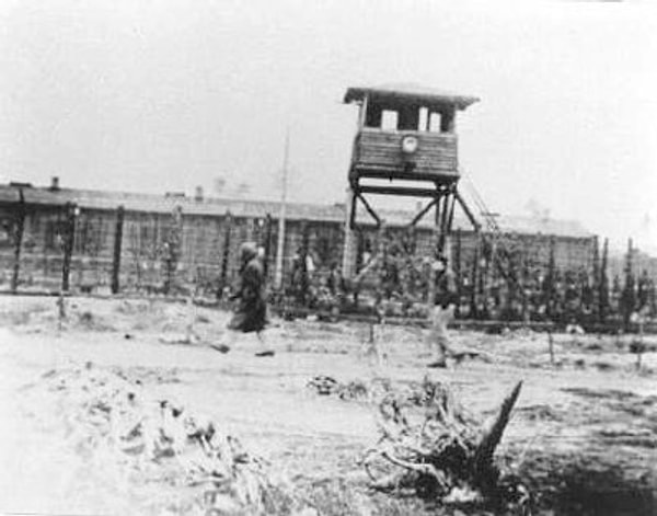 6. Большой побег