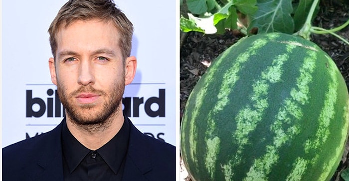 DJ Кельвин Харрис выращивает в своём саду арбузы (и не только), и мы уверены, что вы бы точно захотели их попробовать