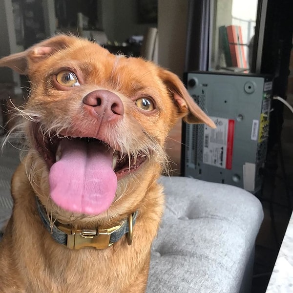 25. Нет ничего лучше бани... да под шашлычок!