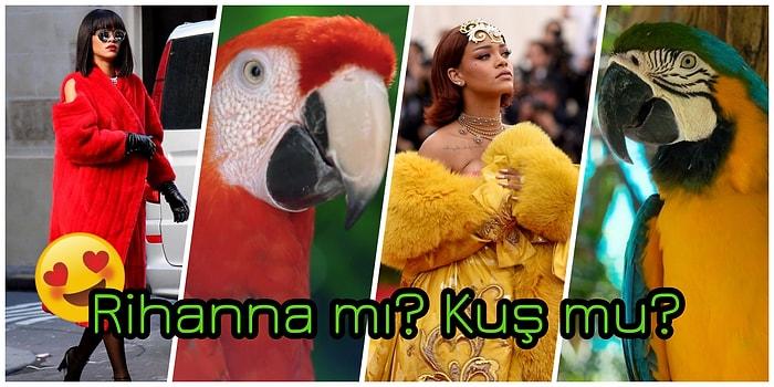 Bu Nasıl Benzerlik! 30 Fotoğrafta Kuşlara Benzetilen Güzeller Güzeli Rihanna