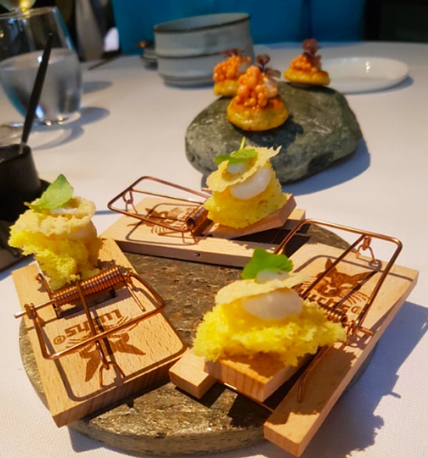 2. Вроде ресторан для людей, к чему же здесь эти мышеловки?