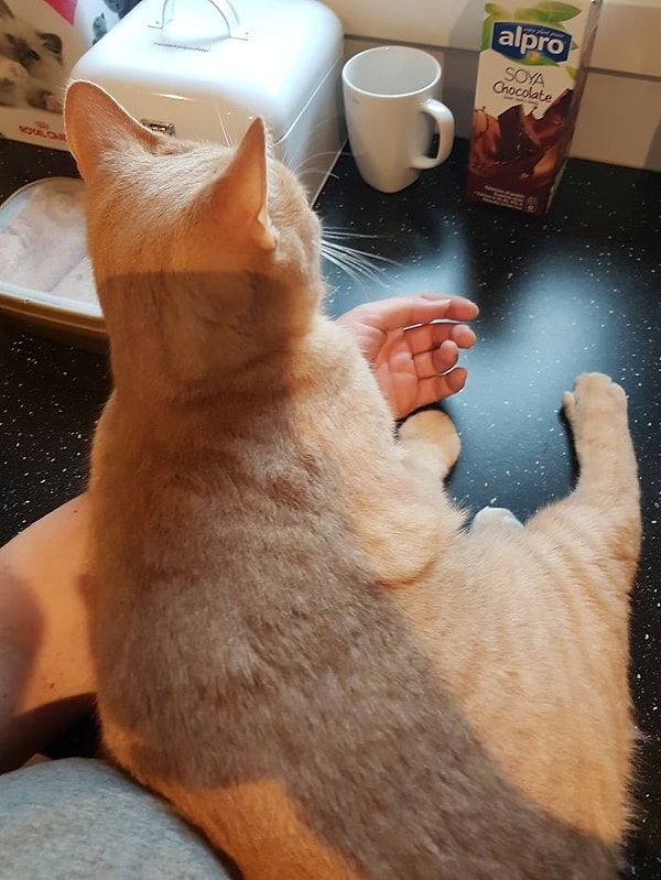 1. "Большинство моих коллег только и делает, что пытается привлечь к себе внимание".