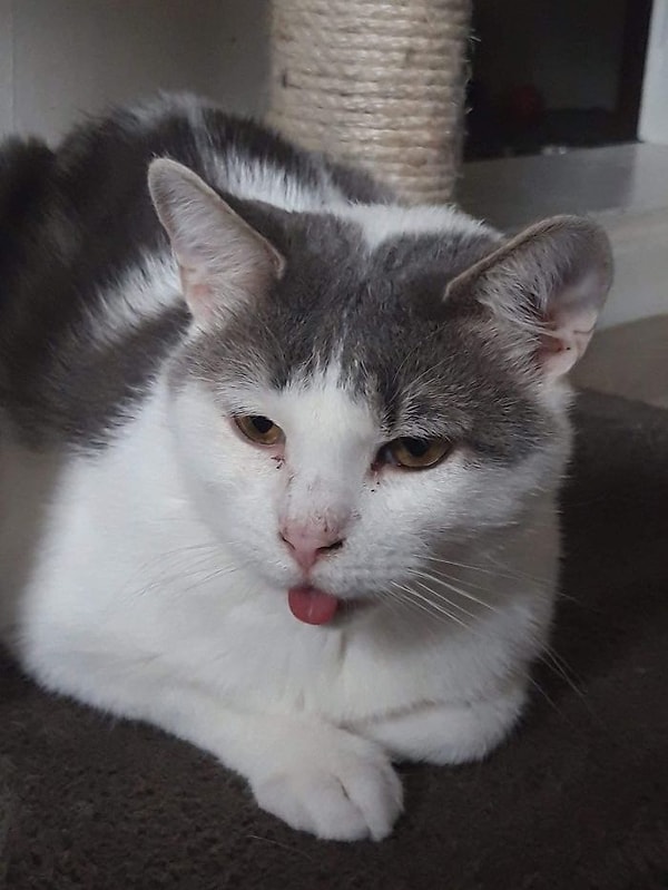 5. "Только посмотрите на это!"