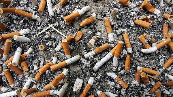 Bu arada, son bir araştırmaya göre denizlerin en büyük düşmanı plastik pipetler değil, sigara izmaritleri.