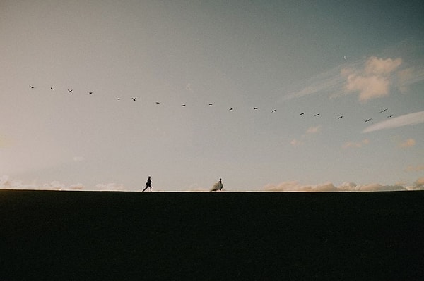 15. Мартинборо, Новая Зеландия