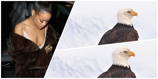 11. Бело-коричневая 🦅