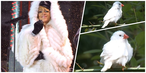 14. И снова беленькая 🐣