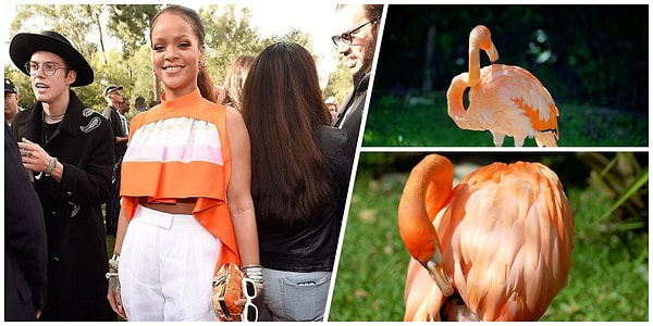 18. Фламинговая.