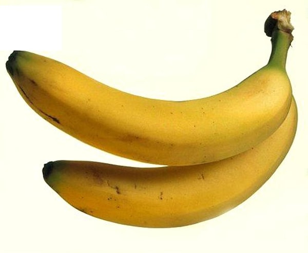 10. Дифаллия - аномалия, при которой человек рождается с двумя половыми членами.