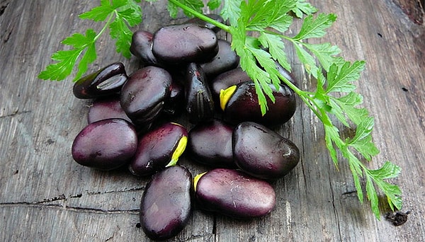 8. Русские черные бобы