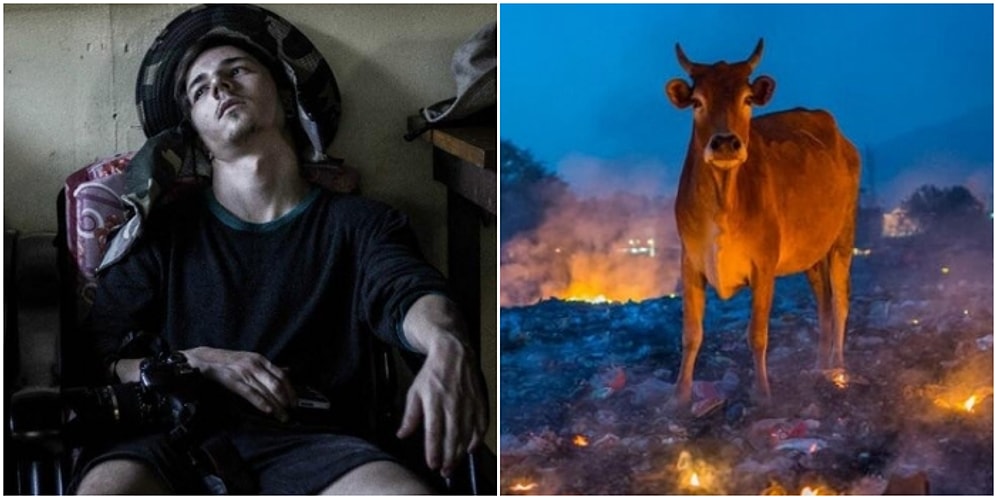 Fotoğraf Çekmek İsterken Yanlışlıkla Rönesans Tablosu Yaratan Kişilerden 27 Muhteşem Kare