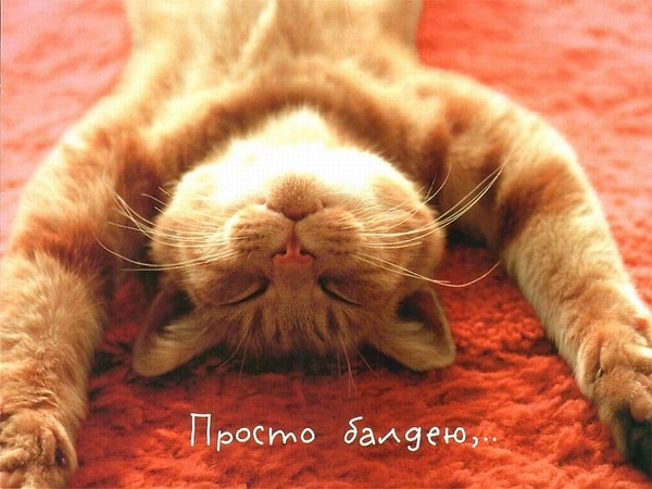 10. Чем бы вы себя порадовали прямо сейчас?