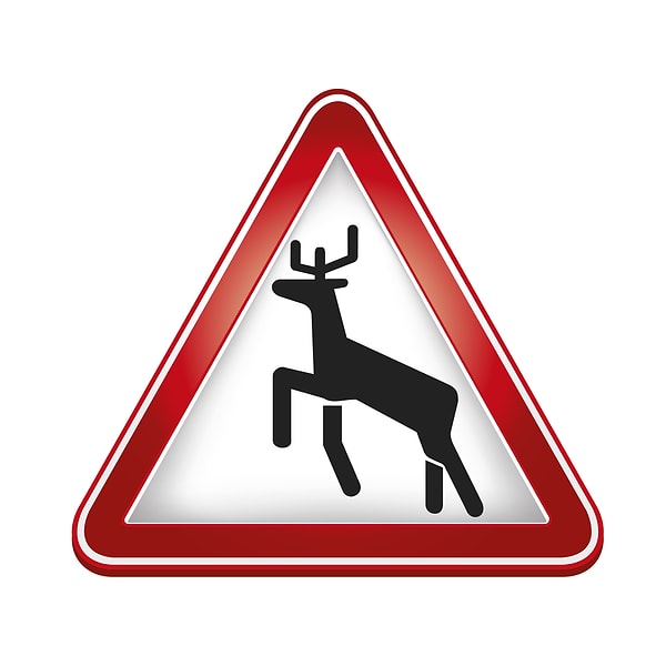 1. Что означает этот дорожный знак?